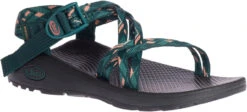 Chaco Women's Z/Cloud X -Fashion Shoe Shop chaco womens z cloud x warren pine jch107986 41418.1647288280