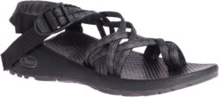 Chaco Women's Z/Cloud X2 -Fashion Shoe Shop chaco womens z cloud x2 limb black jch108002 30908.1647271797