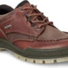 ECCO Men's Track 25 Shoe 2 ECCO Men's Track 25 Shoe -Fashion Shoe Shop ecco mens track 25 shoe bison 83171452600 56705.1567448226