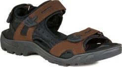 ECCO Men's Yucatan Sandal