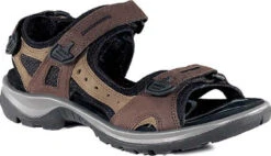 ECCO Women's Yucatan Sandal -Fashion Shoe Shop ecco womens yucatan bison 06956352524 04739.1687214227
