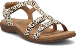 Taos Trophy 2 7 Taos Trophy 2 -Fashion Shoe Shop taos us womens trophy 2 black white cheetah to2 13765 bwcm 92185.1651867617
