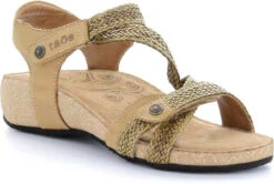Taos Trulie -Fashion Shoe Shop taos women trulie camel tru 16406 cml 79327.1682088053