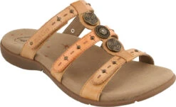 Taos Festive -Fashion Shoe Shop taos womens festive honey multi fst 13007h honm 85245.1593186873