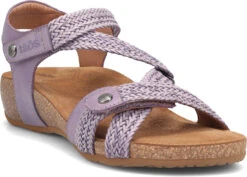 Taos Trulie -Fashion Shoe Shop taos womens trulie lavender tru 16406 lav 38548.1682088054